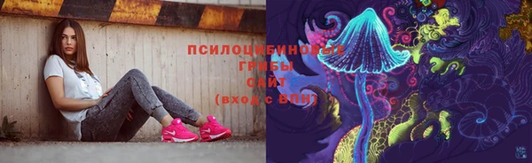 Альфа ПВП Армянск