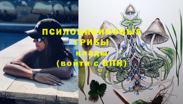 твердый Балахна