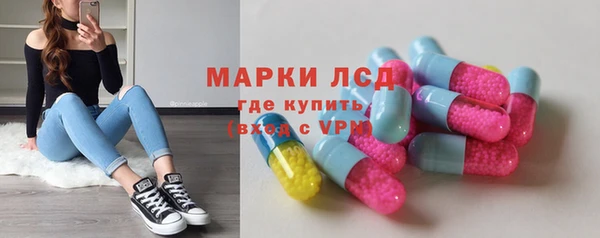 сатива Аркадак