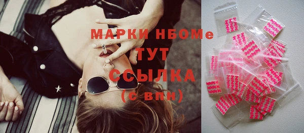 ПСИЛОЦИБИНОВЫЕ ГРИБЫ Арсеньев