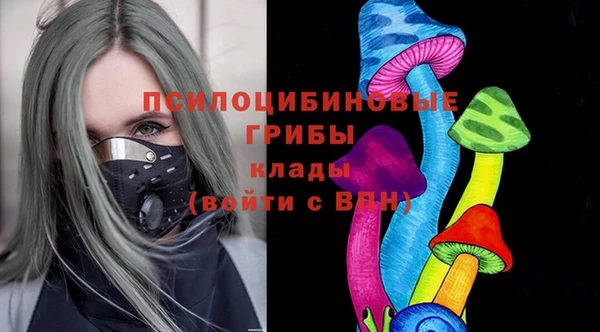 ПСИЛОЦИБИНОВЫЕ ГРИБЫ Арсеньев